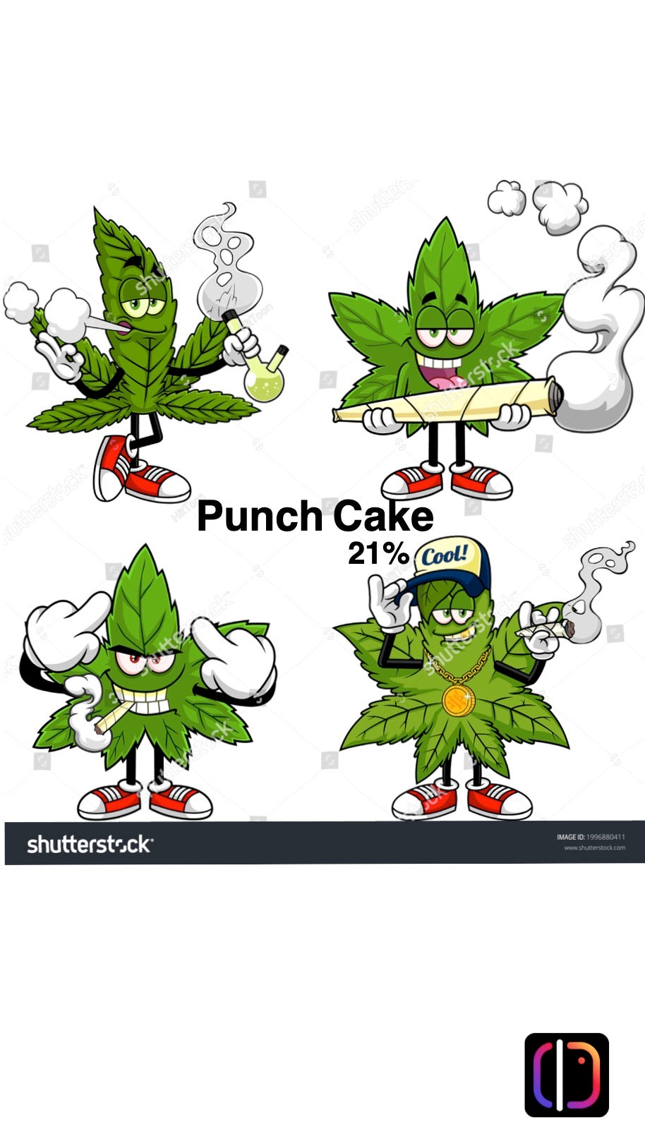 Punch Cake 21% CBD